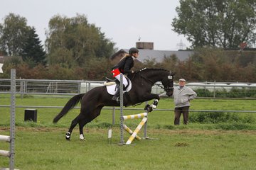 Bild 1432 - WBO-Turnier am 18.9.11